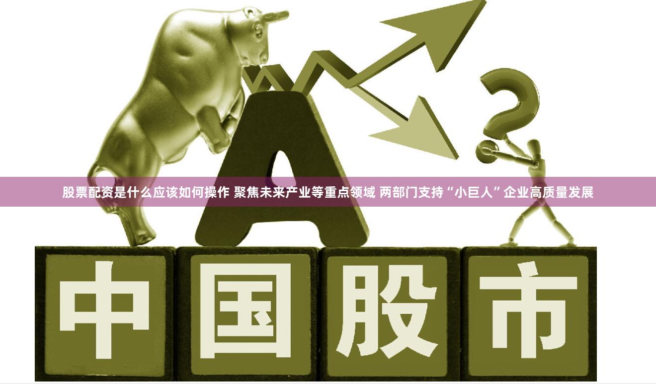股票配资是什么应该如何操作 聚焦未来产业等重点领域 两部门支持“小巨人”企业高质量发展