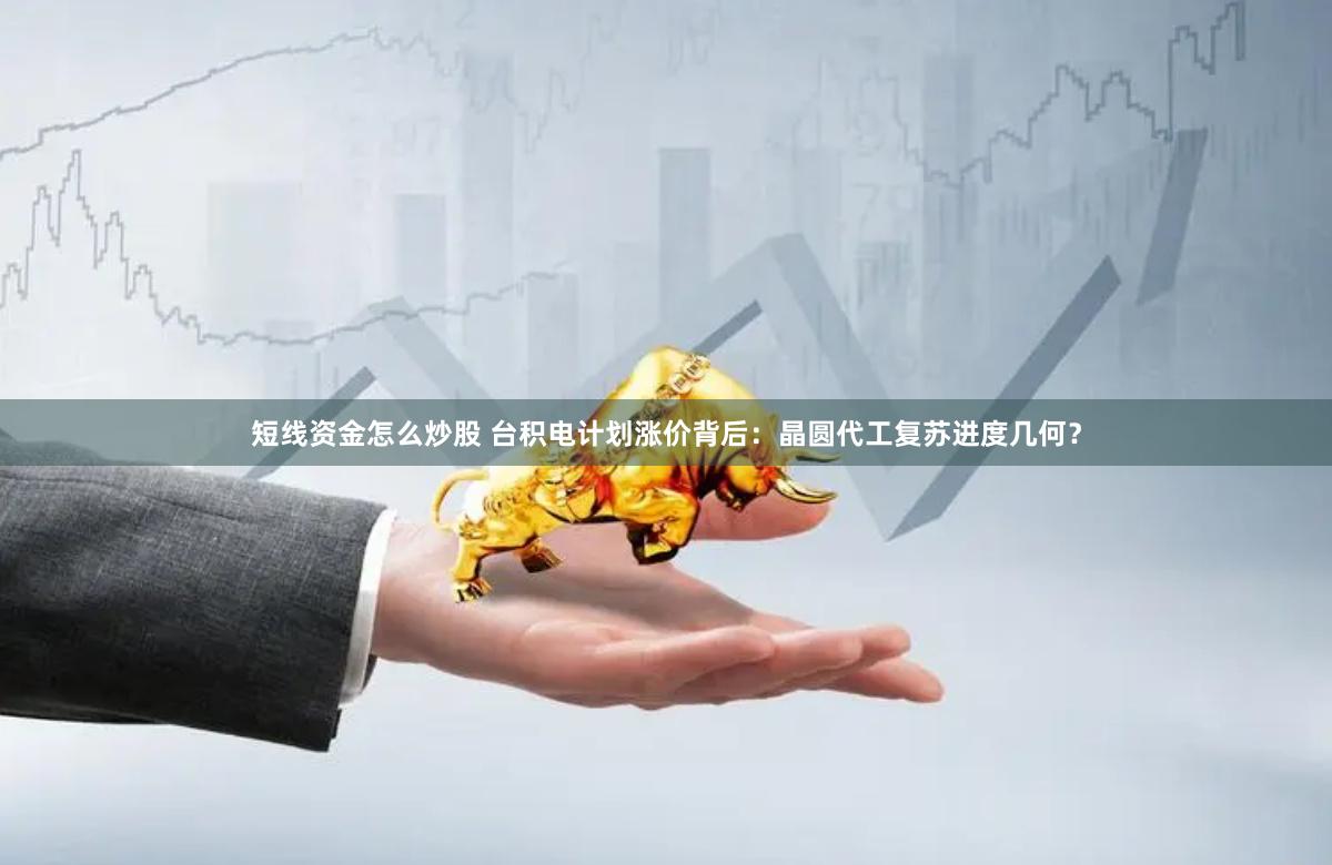短线资金怎么炒股 台积电计划涨价背后：晶圆代工复苏进度几何？