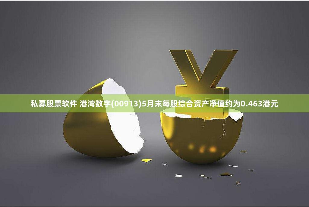 私募股票软件 港湾数字(00913)5月末每股综合资产净值约为0.463港元