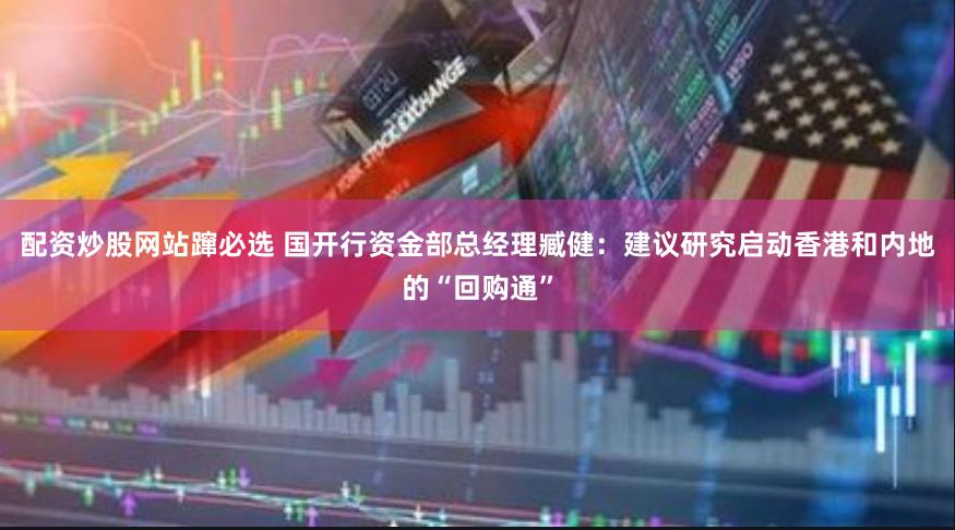 配资炒股网站蹿必选 国开行资金部总经理臧健：建议研究启动香港和内地的“回购通”